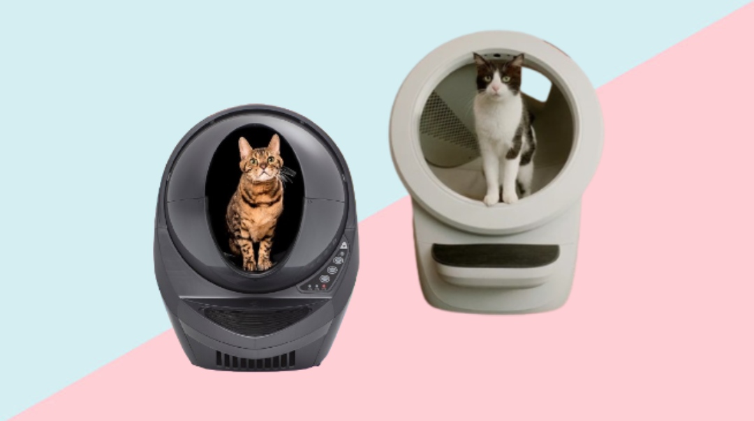 Our Honest Litter Robot Review: Convenience Meets Cleanliness