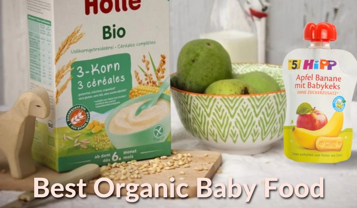 Organic Baby Food 24 Review
