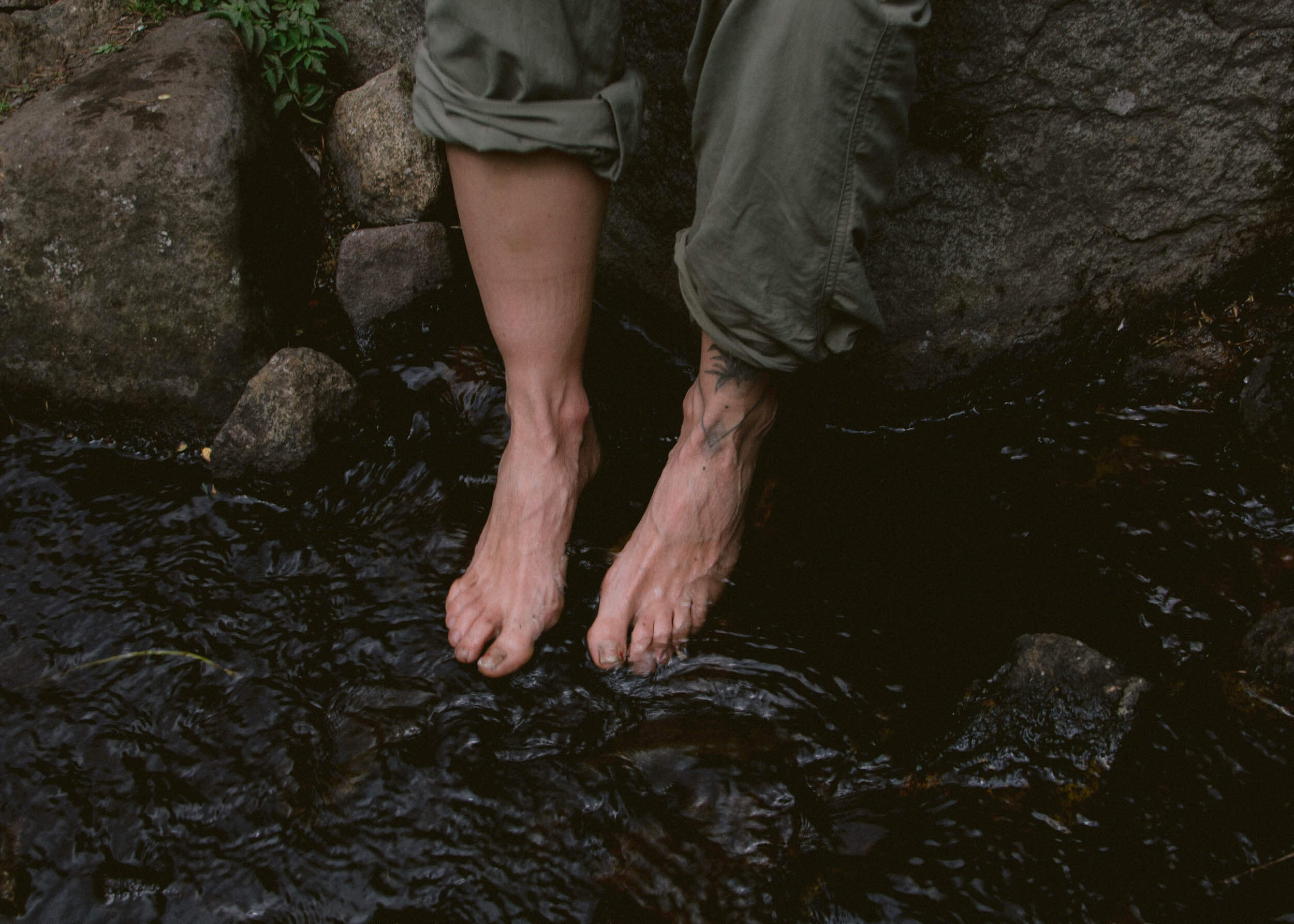 EArthing Review