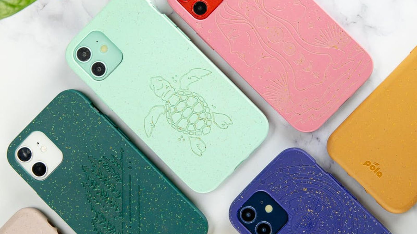 Pela Case Review