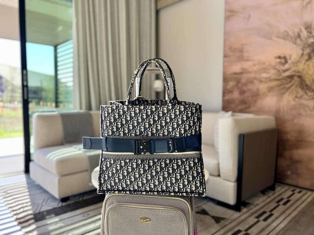 Cincha Travel Review