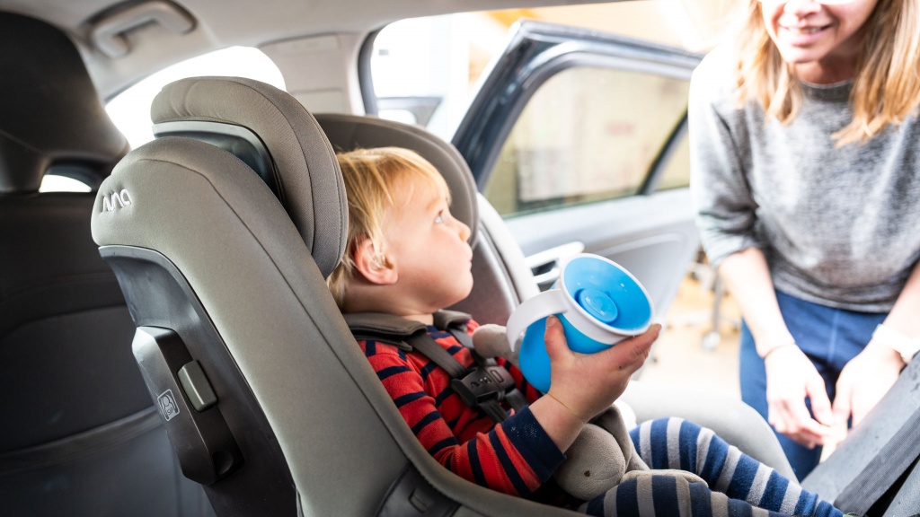 Nuna Car Seat Review