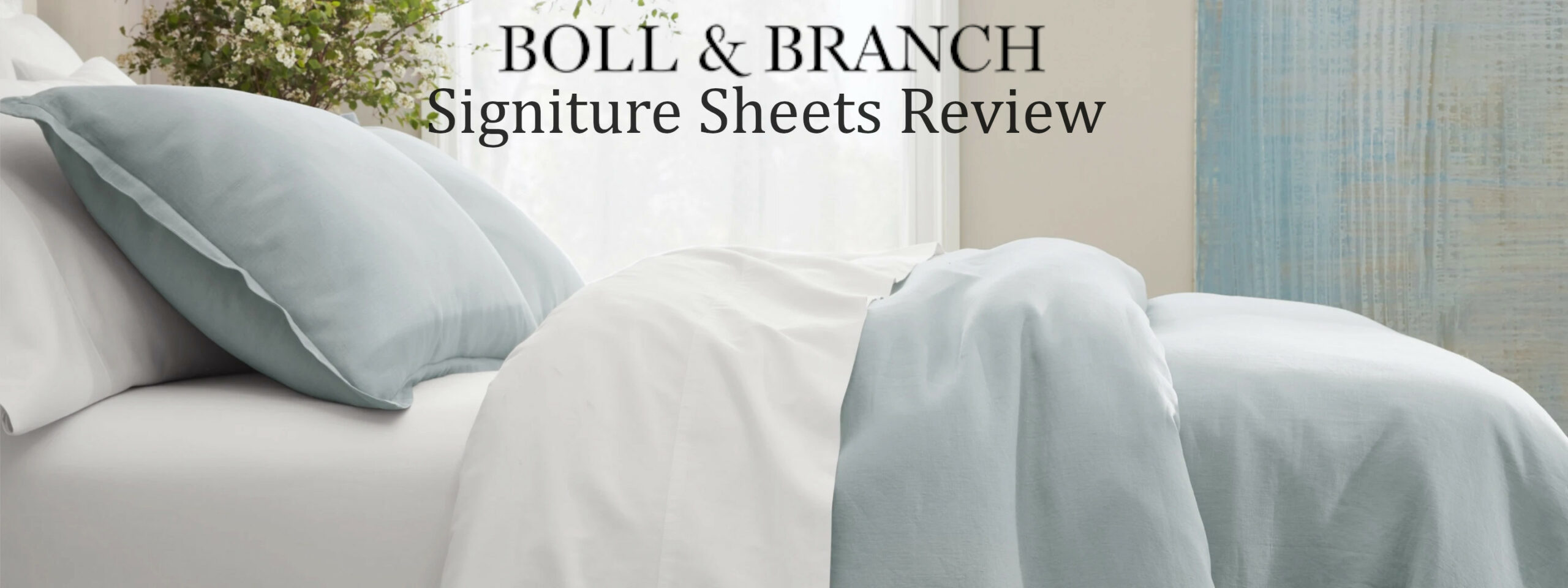 Boll and Branch Sheets Review