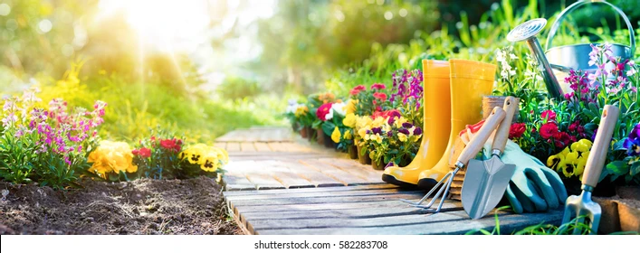Summer Gardening & Outdoor Tools on Discount Now