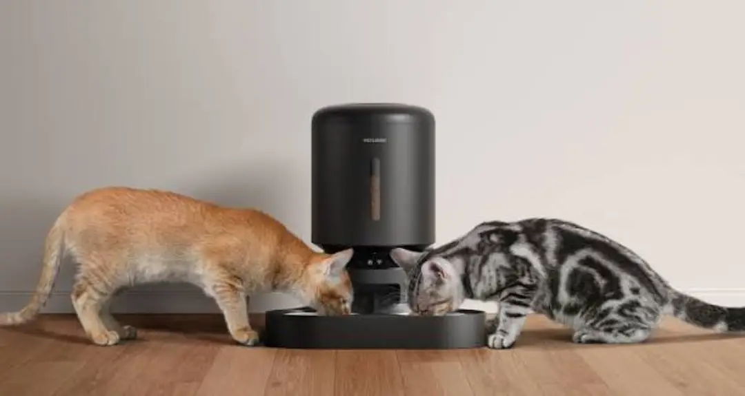 PETLIBRO Automatic Feeder Review: Is It Really Worth It for Your Pet?