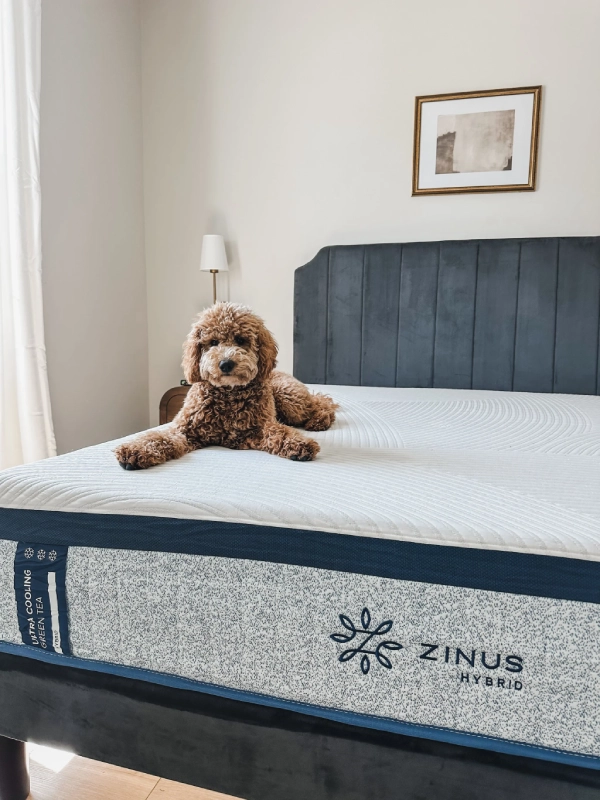 zinus bed review