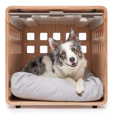 Fable Crate for Dogs