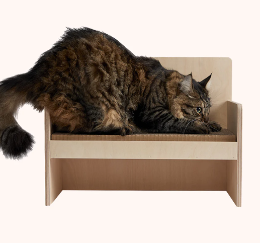 Cat Couch with Wooden Back